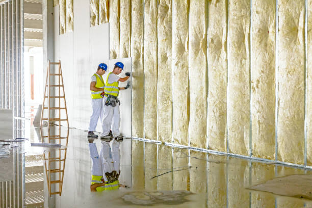 Best Insulation for New Construction  in Fearrington Village, NC